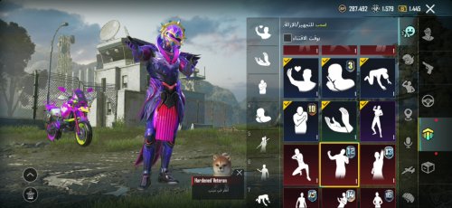 Screenshot_٢٠٢٢١٠٠٢-١٤٥٤٠٣_Gallery.jpg