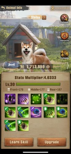 F2 Dog.jpg