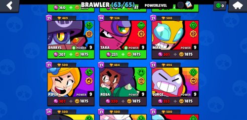 Screenshot_20230324-154446_Brawl Stars.jpg