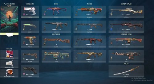 Loadout Valorant.JPG