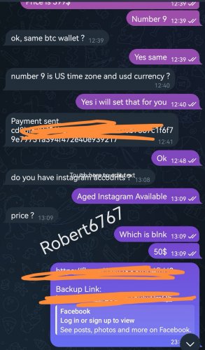 Screenshot_20250105_205729_org.telegram.messenger_edit_37219662922443.jpg