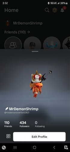Screenshot_20250106_153200_Roblox.jpg