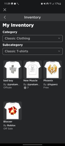 Screenshot_20230312_110924_Roblox.jpg