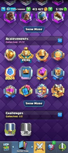 Screenshot_2025-04-11-09-31-07-490_com.supercell.clashroyale.jpg
