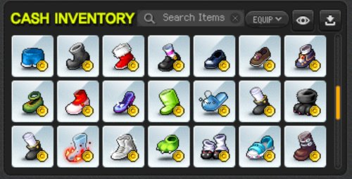 Cashshop 18.jpg