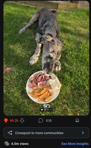 Screenshot_20250714_175854_Reddit.jpg