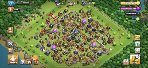 coc.jpg