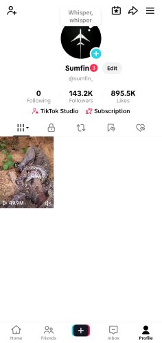 Screenshot_20250622_175933_TikTok.jpg