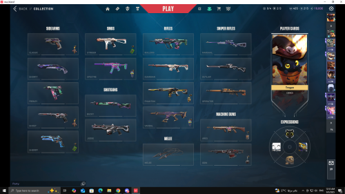 skins1.png