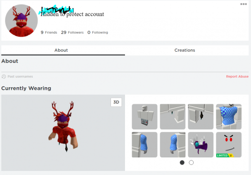 -4-Profile-Roblox.png