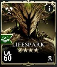 Kypajjj