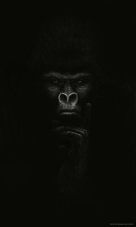 kingkong1