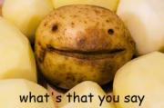 TheBetaPotato