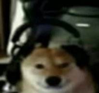 Juuzzerar