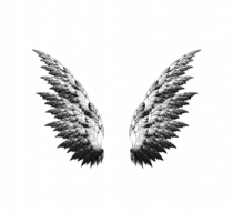 Experience006