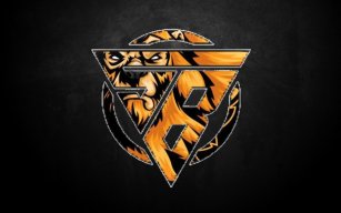 strongleveling