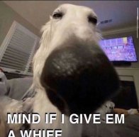 insanegaming178