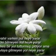Ali baydan