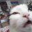 9CAT5